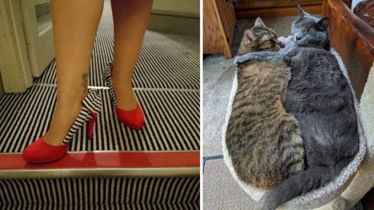 20 фотографий, которые как бальзам на сердце перфекциониста