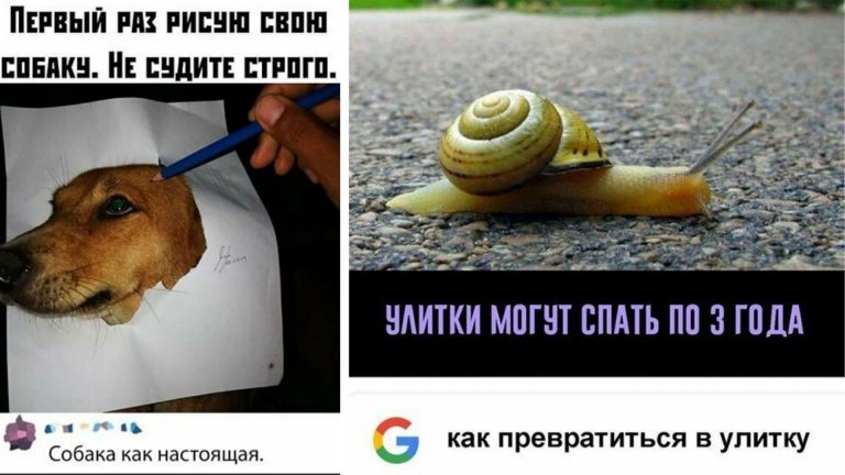 Фото приколы на вечер и попробуй только не улыбнуться!