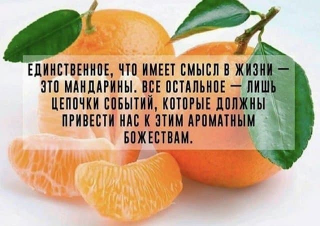 Утренний улыбатор: юмор и шутки с просторов интернета и про настоящую ревность