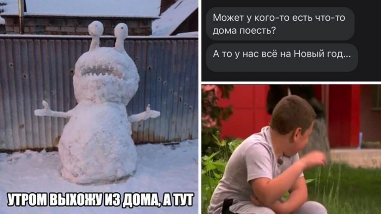 Смешные и познавательные картинки для новогоднего настроения