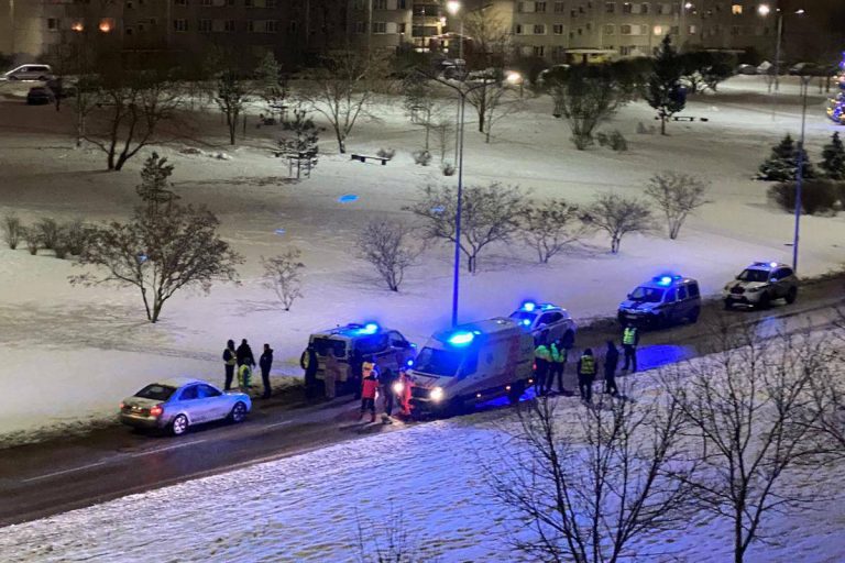 Пытаясь обойти запрет: даугавпилчане гуляли в комендантский час с муляжом собаки (ВИДЕО)