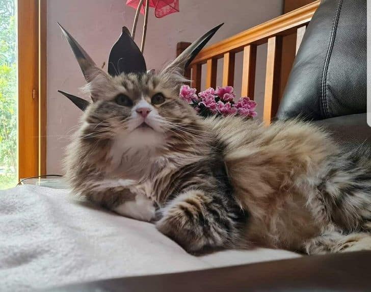 19 фотографий, которые очень сильно запутают ваше сознание