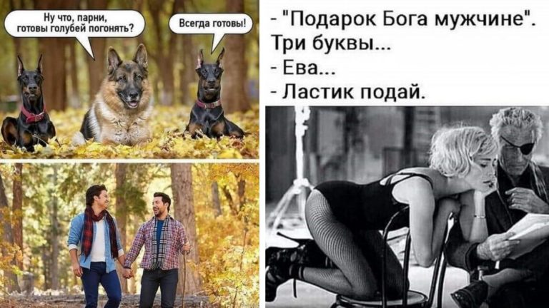 Смешные картинки с надписями и время гонять голубей