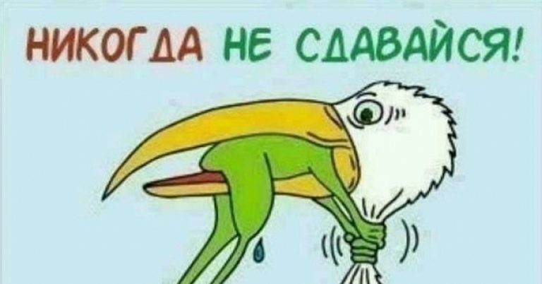 Знаки Зодиака, у которых никогда не опускаются руки