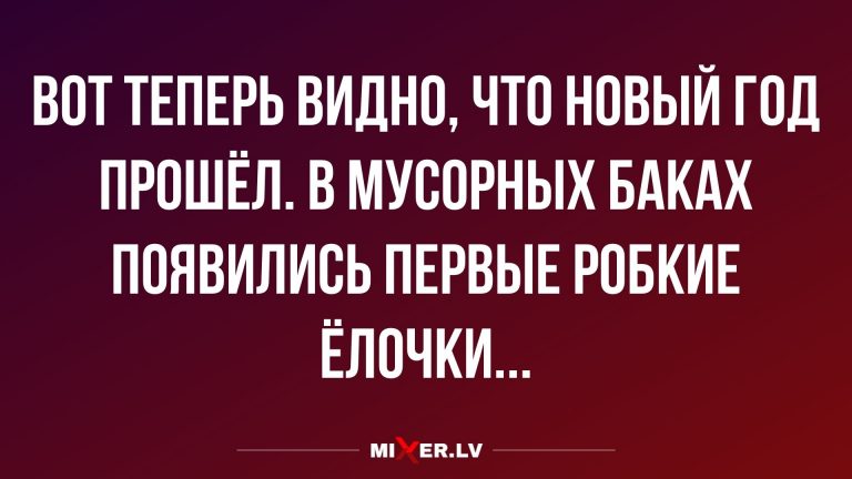 Юмор за сегодня и первые, робкие ёлочки