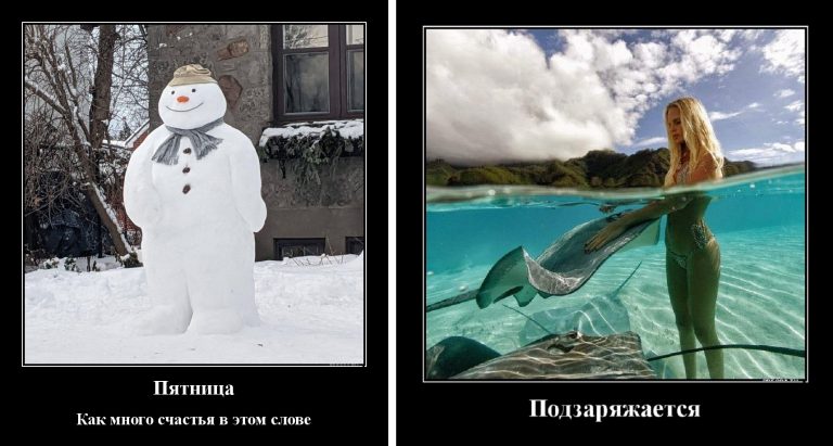 Демотиваторы пятничные: работа, отношения и котики