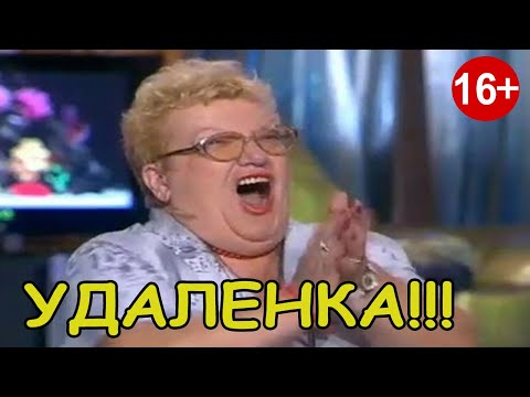 Не всем подходит удаленка: 5 знаков Зодиака, которых нельзя переводить в онлайн