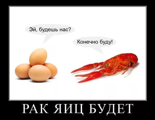 Аж в глазах потемнело — подборка черного юмор с просторов сети