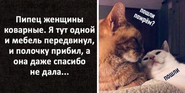 Вся изнанка отношений мужчин и женщин в 15 картинках