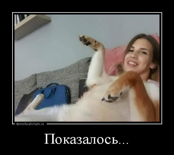 Раздрайчик прикольных демотиваторов на воскресение