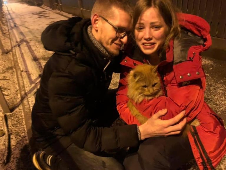 «Не переставайте верить!»: жильцы взорванного дома нашли пропавшего кота