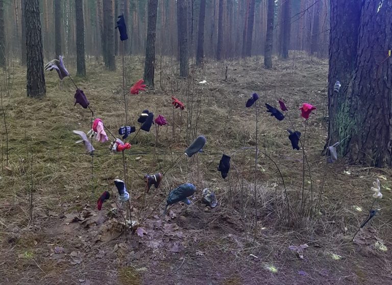 ФОТО: в Бикерниекском лесу «выросло» дерево с варежками-потеряшками
