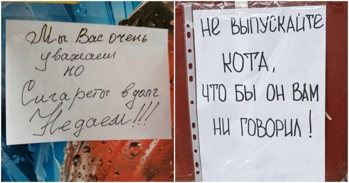 Объявления как отдельный жанр эпистолярного искусства