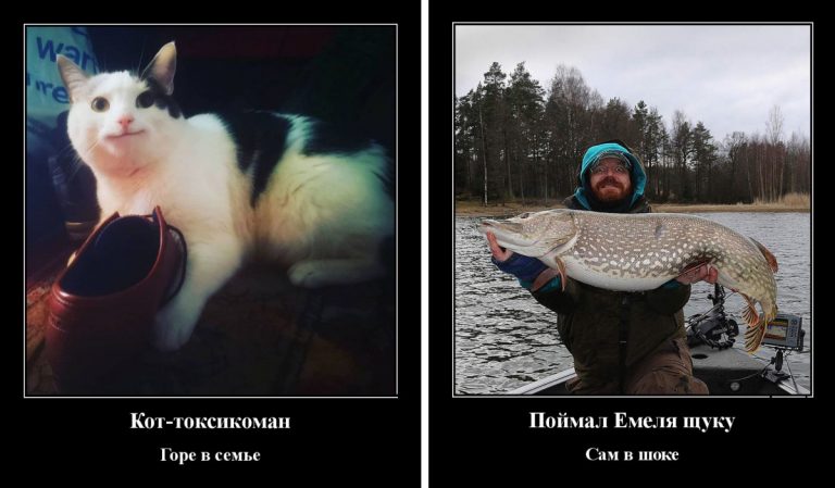 Пестрая подборка демотиваторов на утро субботы