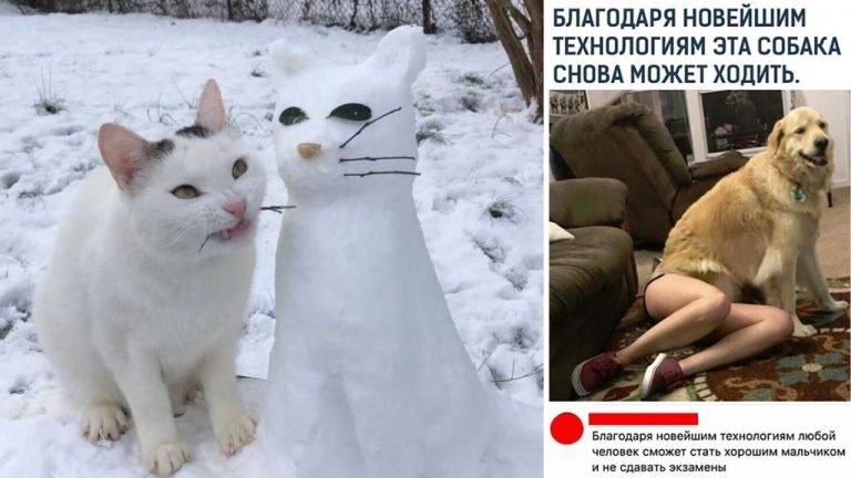 Подборка прикольных, познавательных и смешных картинок на вторник