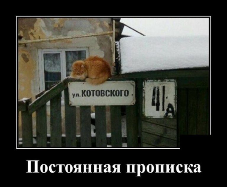 Раздрайчик небаянистых демотиваторов на всякие темы