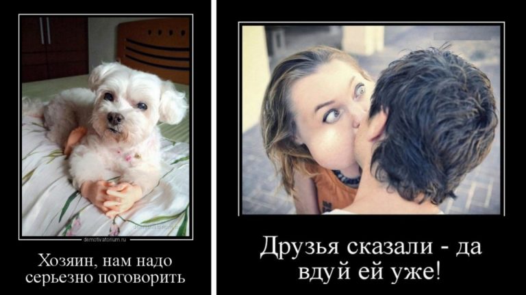Веселые демотиваторы во вторник и нам нужно серьезно поговорить