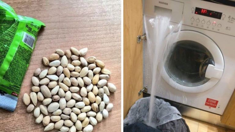 Видно в понедельник их мама родила — 22 отборных неудачника