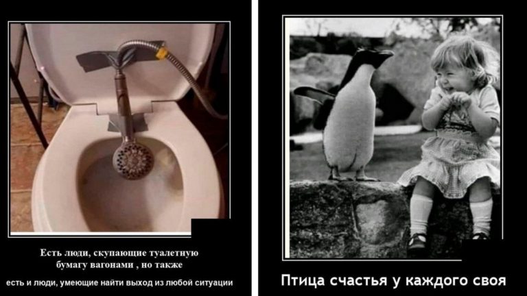 Свежие смешные демотиваторы для пятничного настроя