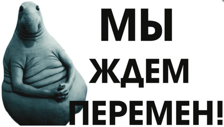 Мы ждем перемен:  4 знака Зодиака, чья личная жизнь в марте может серьезно измениться