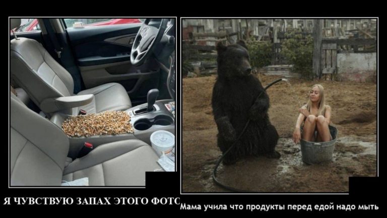 Демотивация выходного дня в нашей подборке приколов
