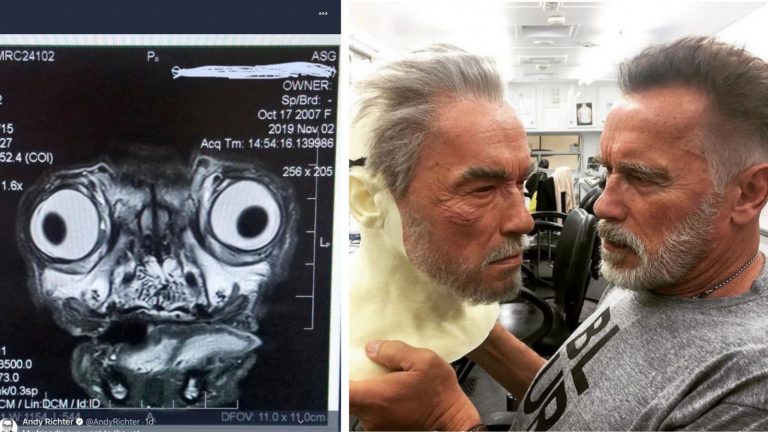 25 занимательных фотографий, среди которых много всего интересного и немного науки