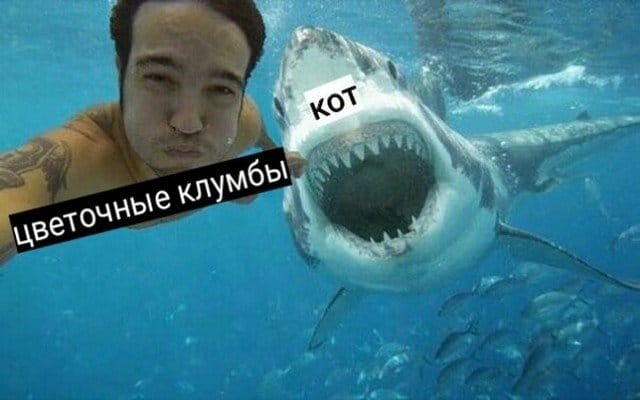 15 мемов для людей 60+ — молодежь посмотрите, что вас ждет