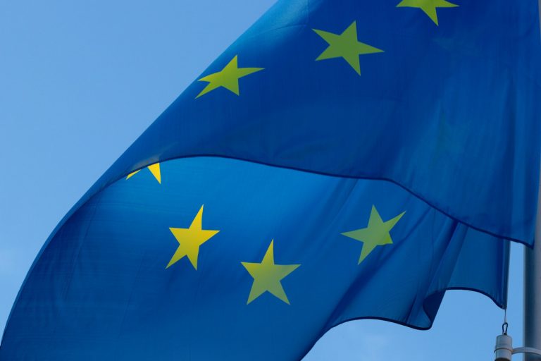 Депутат рассказал, кто союзник Латвии в Европарламенте
