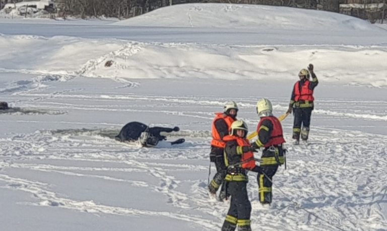 У Румбулы под лед провалился домашний скот: одно животное погибло