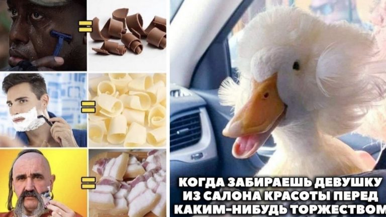 Смешные и познавательные картинки из сети и когда забираешь девушку из салона красоты