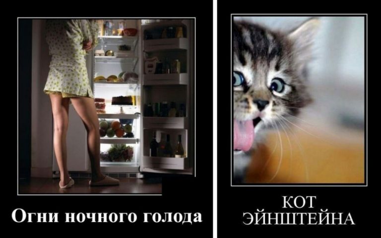 Порция свежих демотиваторов и огни ночного голода