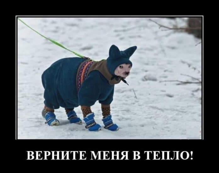 Свежие демотиваторы в первый день весны: социальные проблемы и гаджеты
