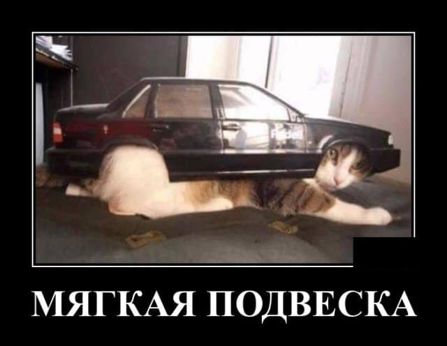 Демотиваторы для расслабленного и улыбчивого времяпровождения
