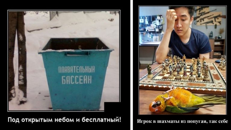 Веселые и жизненные демотиваторы на выходные