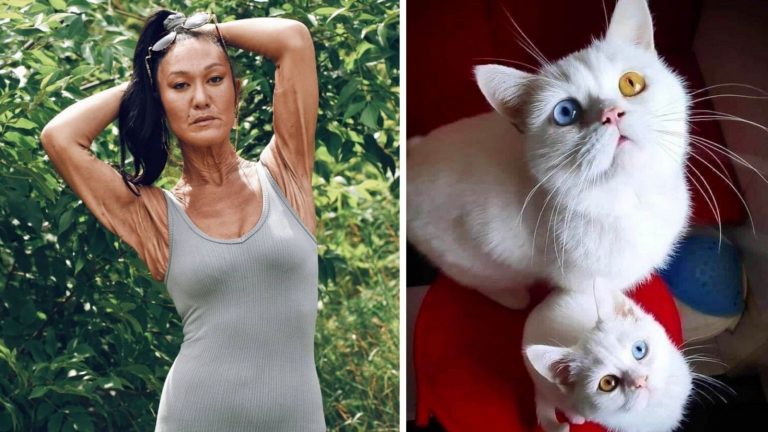 20 редчайших вещей, о существовании которых вы даже не подозревали, пока не увидели