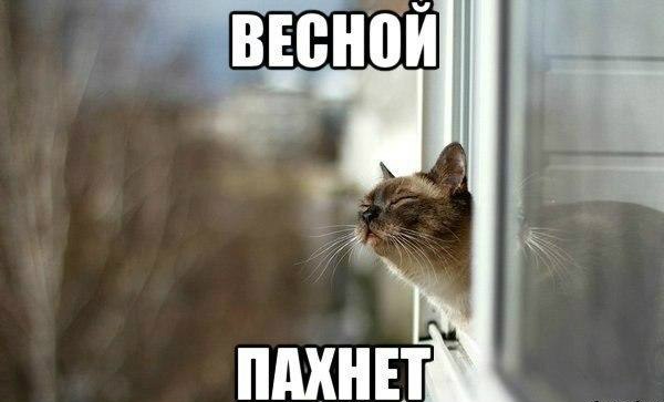 У этих 5 знаков зодиака впереди лучшая весна!