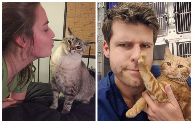 Кошачьи нежности? Не дождетесь! 20+ котов, которые не хотят миловаться с хозяевами