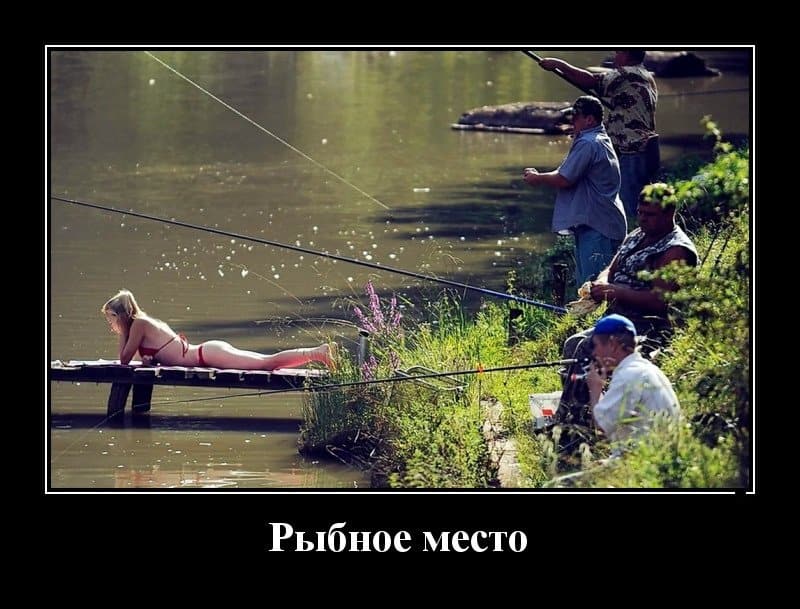 Демотиваторы на вторник и рыбные места