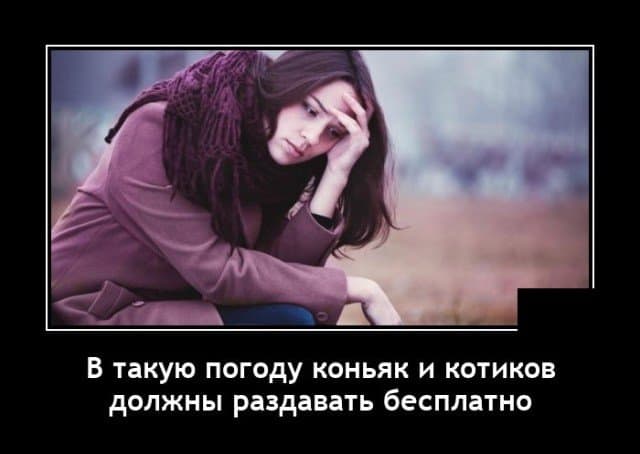 Любопытные демотиваторы найденные в дебрях сети
