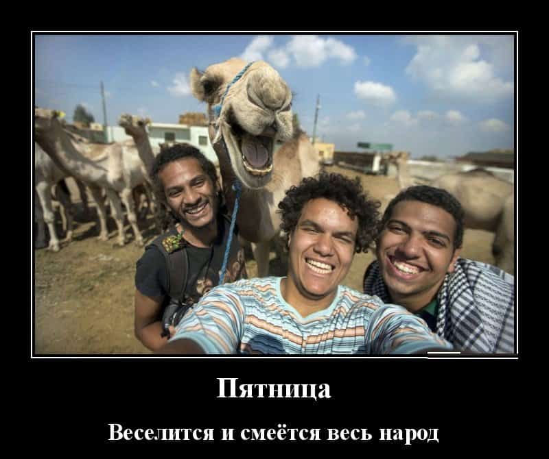 Жизненные и веселые демотиваторы в пятницу