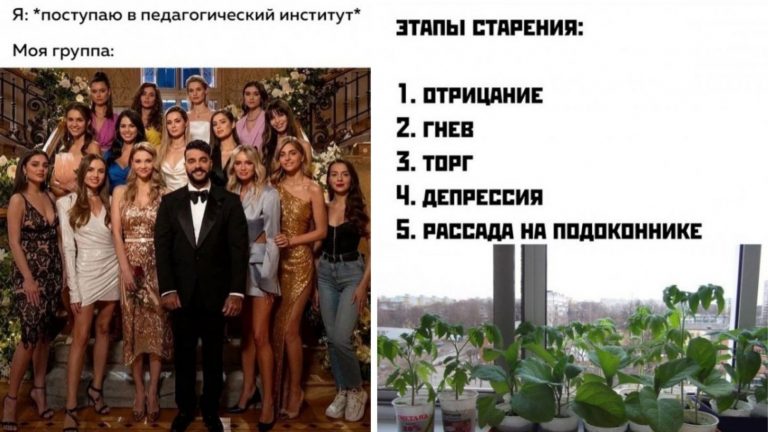 Охапка мемов на утро понедельника и Тимати на шоу «Холостяк»