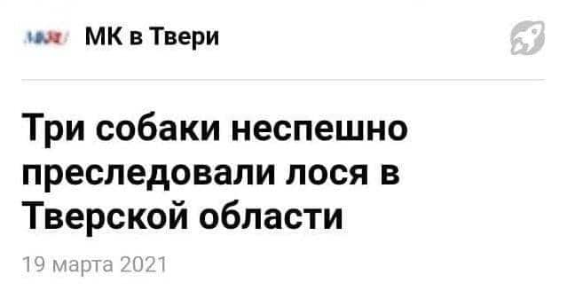 Заголовки, которые мы заслужили