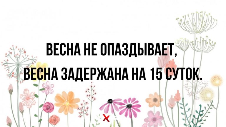 Юмор за день и куда пропала весна