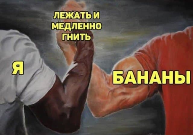 35 отборных смешнявок, от просмотра которых вам точно станет лучше