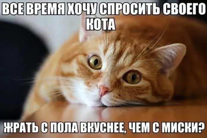 Смешные и познавательные картинки в пятницу