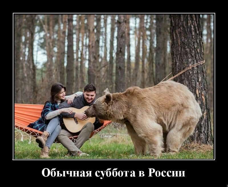 Позитивный винегрет из демотиваторов и обычная суббота в России