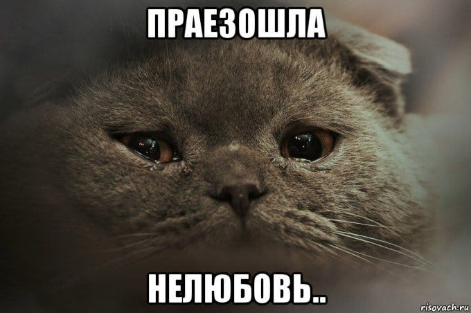 4 знака Зодиака, с которыми у Овна ничего не получится