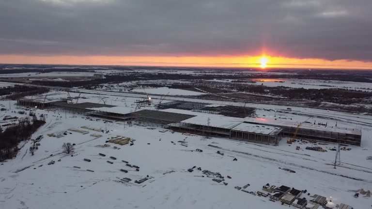 Илон Маск хочет построить город в Техасе, управлять им будет собака