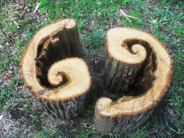 25 удивительных ситуаций, которые уже никогда не повторятся
