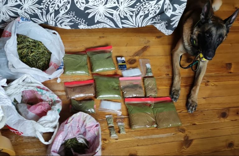 В частном доме под Ропажи нашли 2 килограмма марихуаны